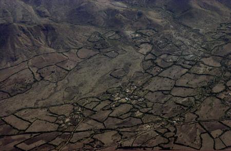 deforested farmland.jpg (26332 bytes)