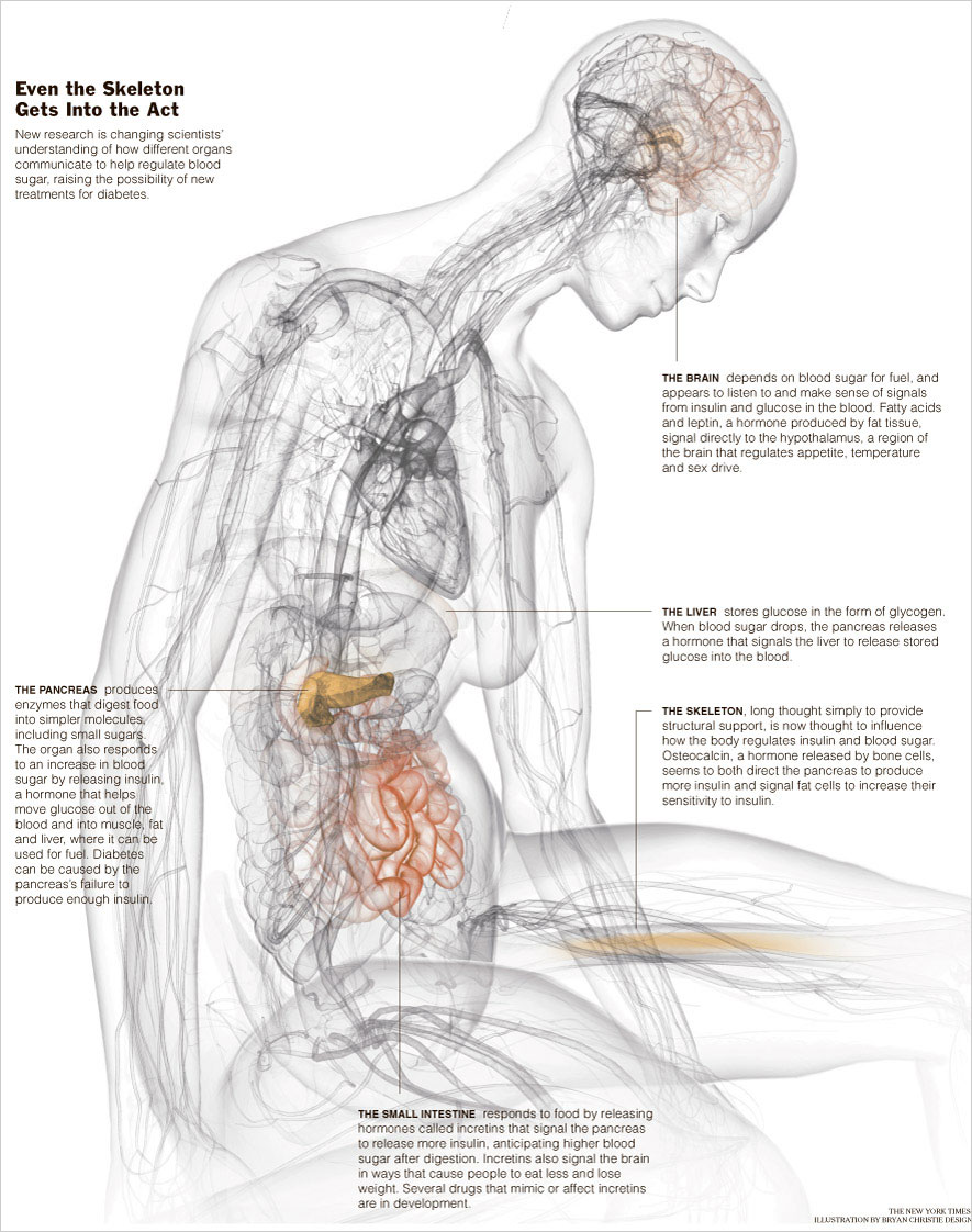 diabetes a 2.jpg (202267 bytes)