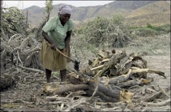 haiti deforestation.jpg (22014 bytes)