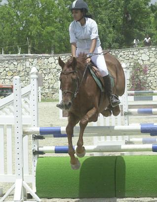 horses jump 1.jpg (29724 bytes)