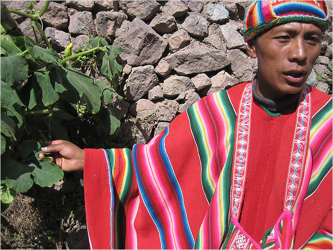 languages of bolivia