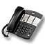 telephone11.jpg (2135 bytes)